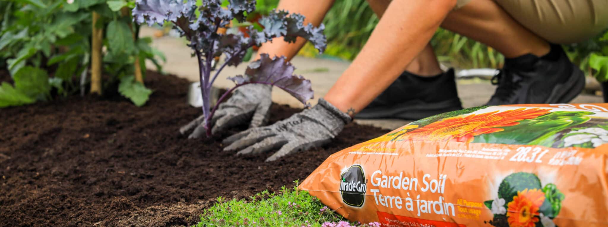 feeding your garden The Plant Project